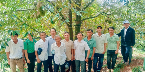 THAM QUAN HỌC TẬP MÔ HÌNH TRỒNG SẦU RIÊNG TẠI XÃ THIỆN TÍN