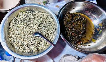 A bowl of food and a spoon  Description automatically generated